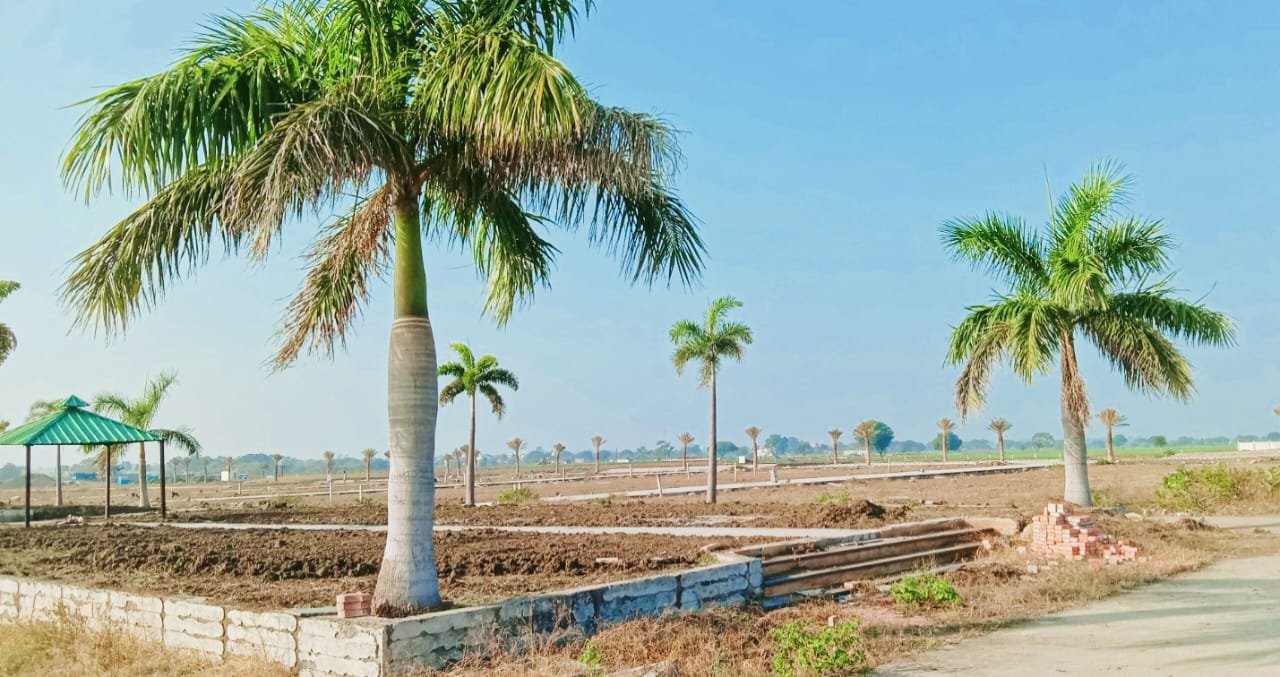 WhatsApp Image 2025-01-20 at 21.05.28_e9125ed7