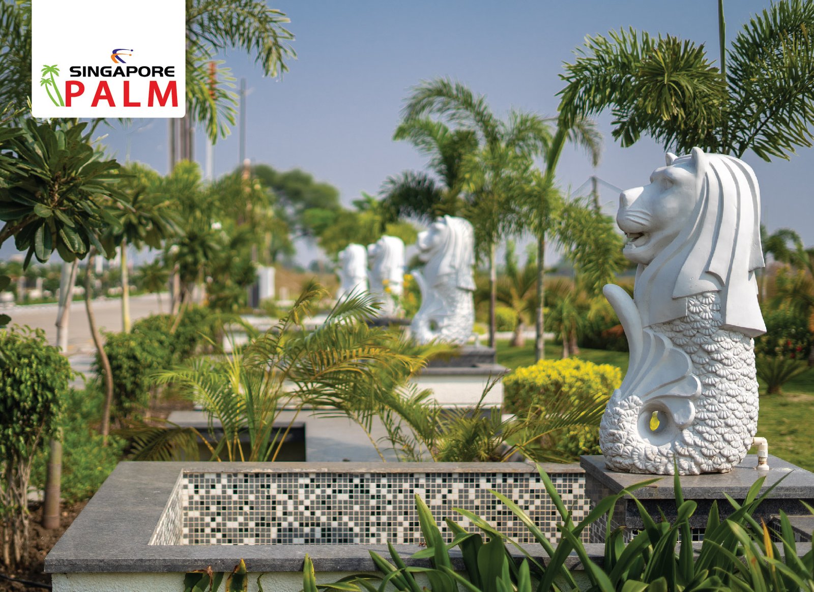 yr395awcnp55wqmv3m3w